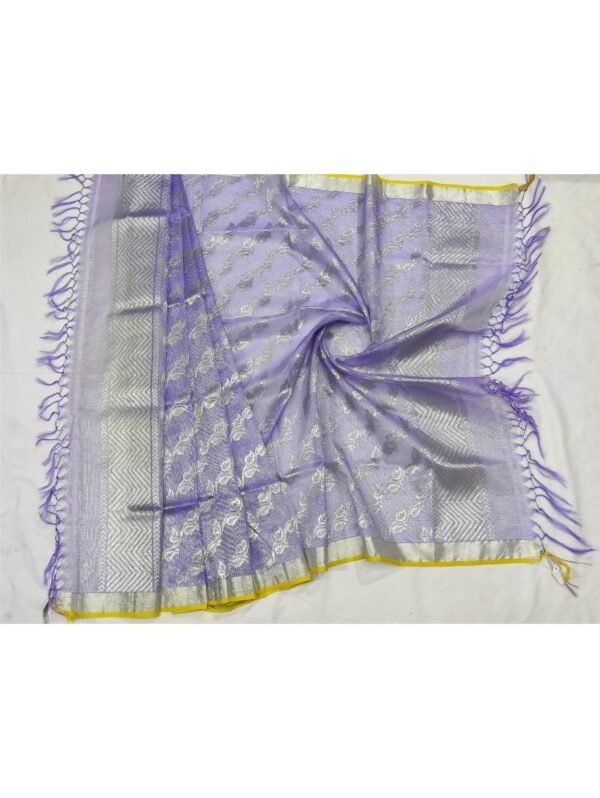 PURE SILVER TISSUE ALL OVER JAAL ZARIKOTA HANDLOOM DUPATTA D-84